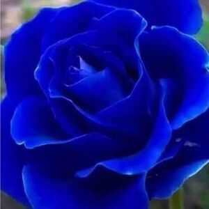 Meet your Posher, Ms